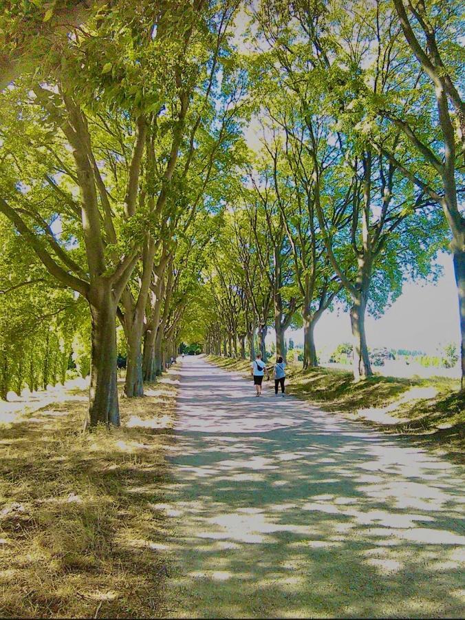 Stanza E Bagno Privato, Idromassaggio Con Extra Fee, In Appartamento Ferrara Dış mekan fotoğraf
