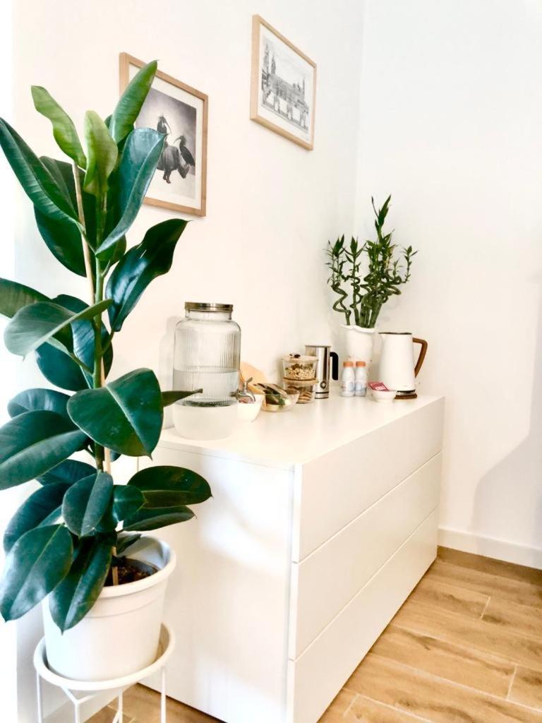 Stanza E Bagno Privato, Idromassaggio Con Extra Fee, In Appartamento Ferrara Dış mekan fotoğraf